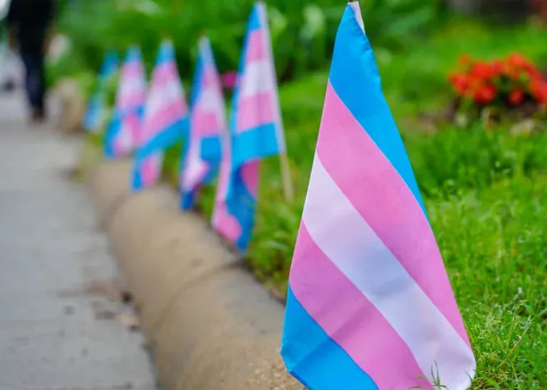 Bandeiras da comunidade trans fincadas na grama ao longo de uma calçada
